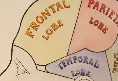 Work skills you’ll need to survive the ‘conceptual age’