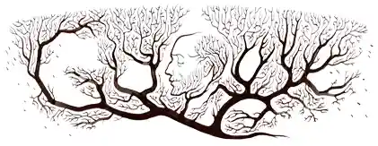 Museo de los Doodles de Google