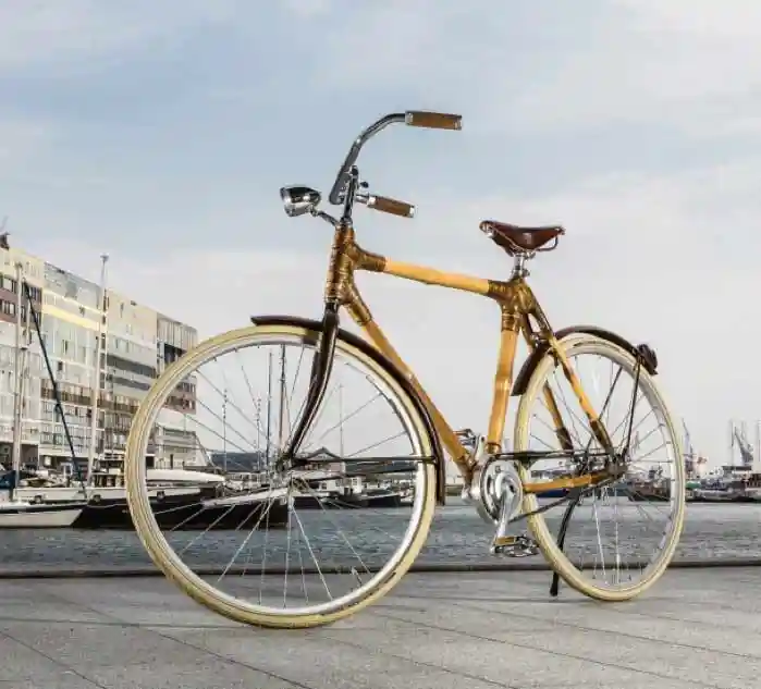 Blackstar, Bicicletas de Bamboo