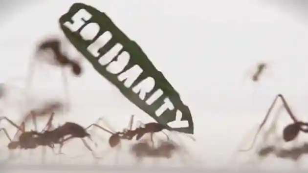 Ant Rally WWF: la protesta favorita en Cannes