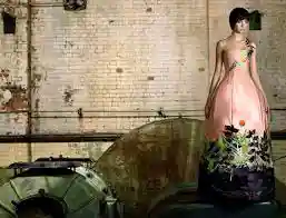 TED, Diez Años de Diseño Sustentable