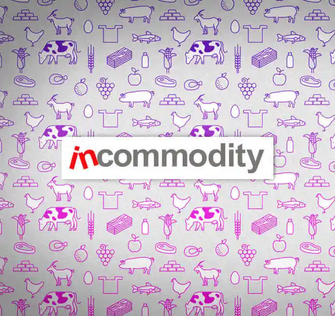 Incommodity 2015