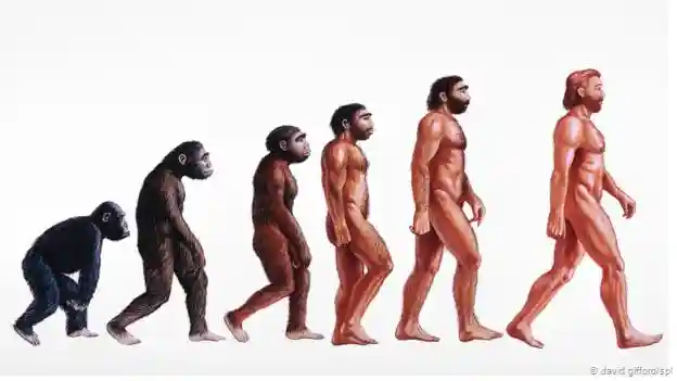 ¿Por qué somos la única especie humana que todavía está viva?