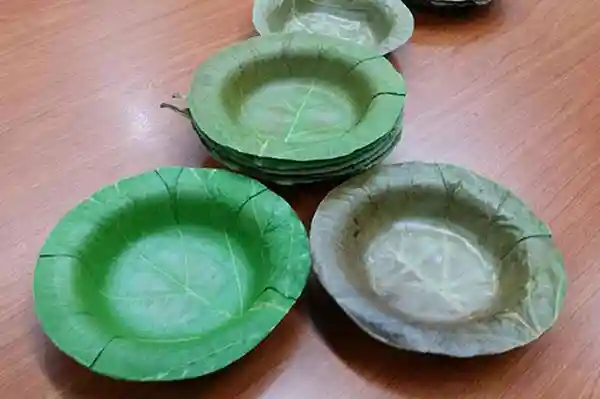 platos organicos