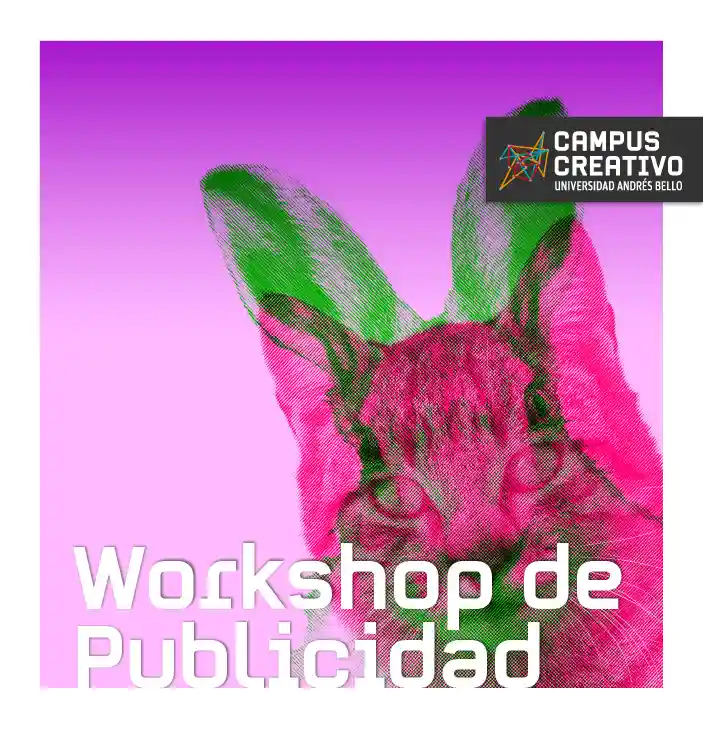 Concurso Gato x Liebre para alumnos de 4to medio