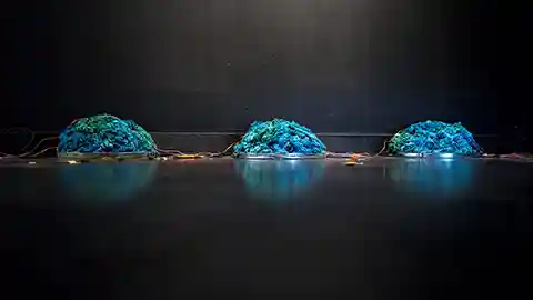 Exposición de la reconocida artista Virginia Errázuriz se presentará en Campus Creativo