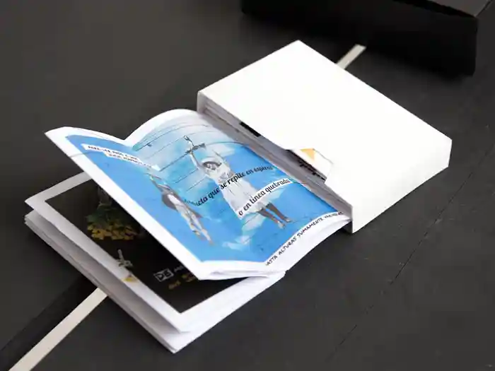 Tercer Festival de Libro de Artista: Proposiciones a realizar