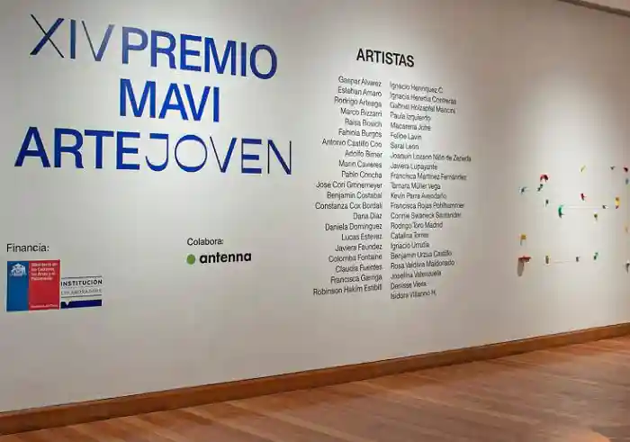 Alumnis de Artes Visuales son seleccionados en el Premio MAVI Arte Joven 2020