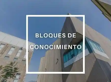 Bloques de conocimiento primer semestre 2021