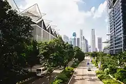 DÍA NACIONAL DEL MEDIO AMBIENTE | Experta explica cómo el desarrollo de Ciudades Sostenibles ayuda a disminuir el impacto ambiental